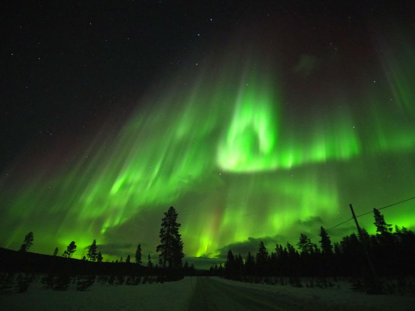 Alta: Small-Group Guided Northern Lights Tour - Pickup, briefing, and the first drive
