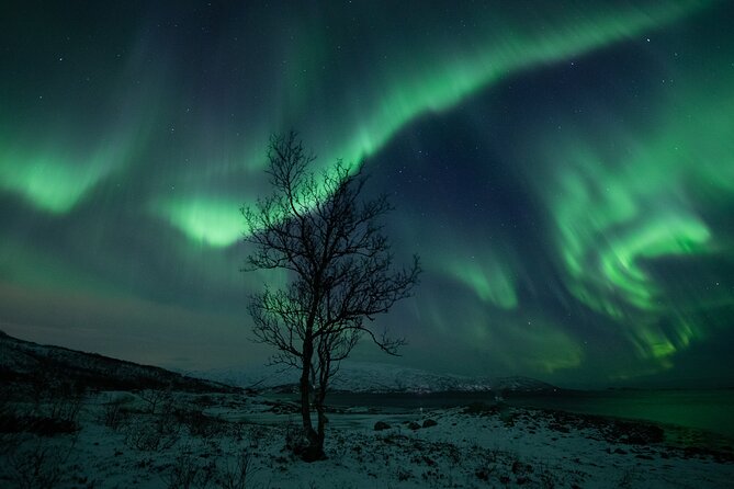 An All-Inclusive Tour - Aurora & Arctic Experience - Thermal suits help, but winter boots remain your job