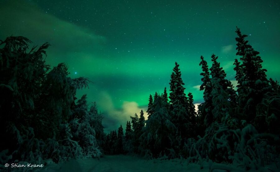 Arctic Adventure: Northern Lights Hunting with Snowmobiles - Riding 10 kilometers beyond the lights