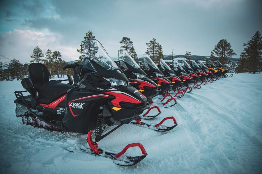 Arctic Adventure: Northern Lights Hunting with Snowmobiles - Who will enjoy this outing most
