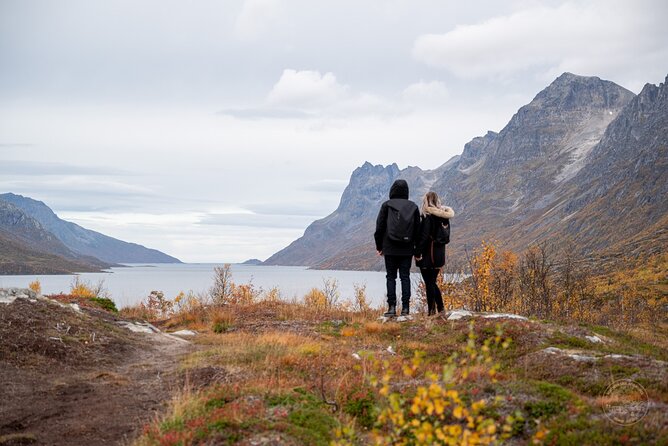 Arctic Fjord Roadtrip with Scenic Picnic from Tromso - The Kvaløya route and its changing scenery