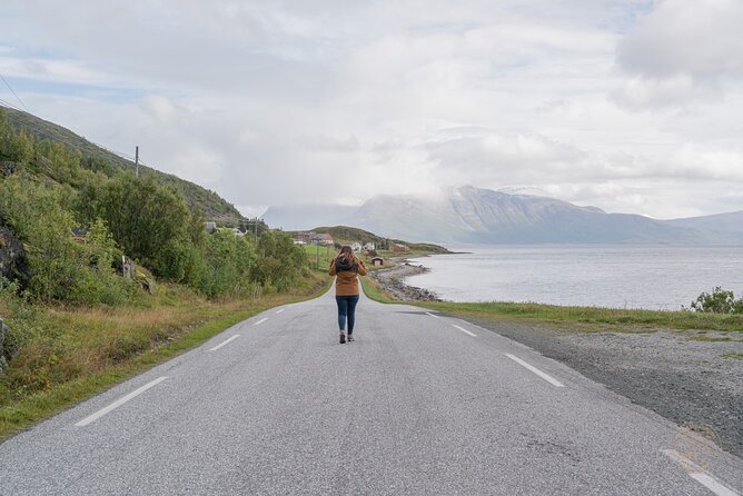 Arctic Fjord Roadtrip with Scenic Picnic from Tromso - What the picnic is really like