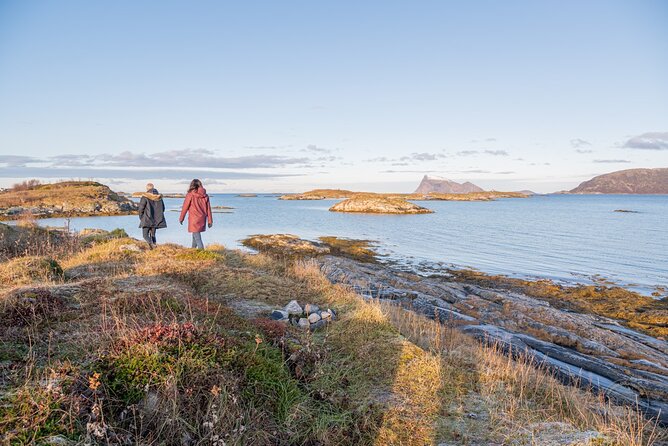 Arctic Fjord Roadtrip with Scenic Picnic from Tromso - The minibus, group size, and comfort