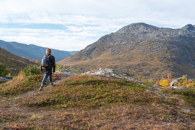 Arctic Fjord Roadtrip with Scenic Picnic from Tromso - Fjords, beaches, and the Sommarøy option