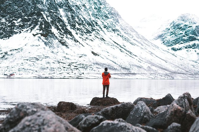 Arctic Fjord Sightseeing by Minibus - Ersfjord: a fishing village beside the water
