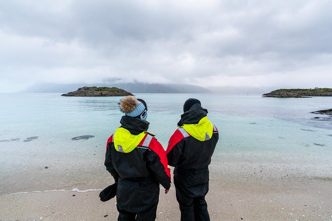 Arctic Fjord Sightseeing by Minibus - Hella and the old rock carvings