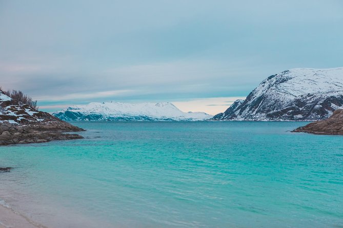 Arctic Fjord Sightseeing by Minibus - Weather, timing, and what to bring