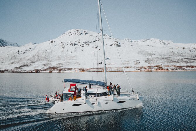 Arctic Fjordcruise & Safari in Tromso with Luxury Catamaran - Rya and the changing water