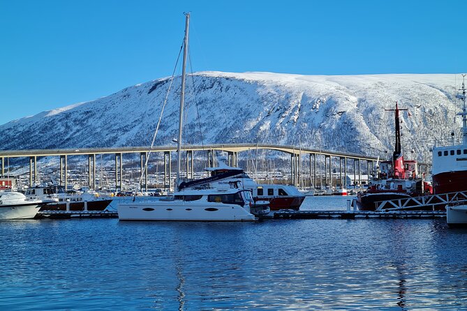Arctic Fjordcruise & Safari in Tromso with Luxury Catamaran - The captains make the difference
