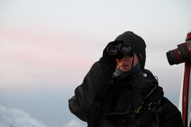 Arctic Fjordcruise & Safari in Tromso with Luxury Catamaran - Weather, winter, and wildlife expectations
