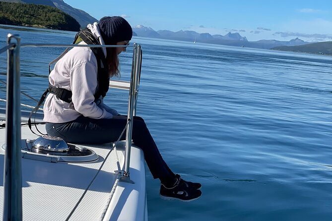 Arctic Fjordcruise & Safari in Tromso with Luxury Catamaran - Does it really reach the fjords?