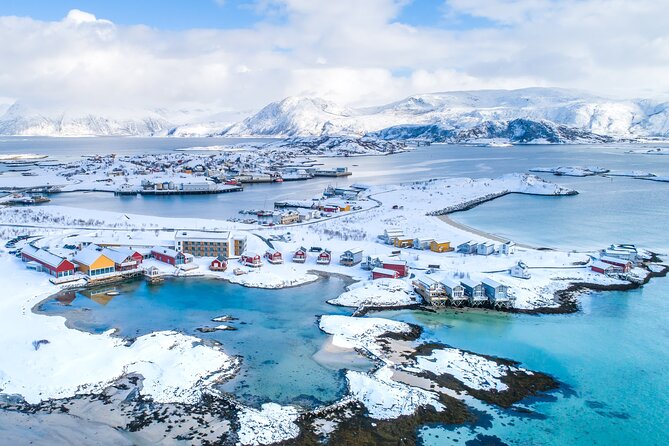 Arctic Fjords and Reindeer Experience – Small group tour - The changing views across Kvaløya