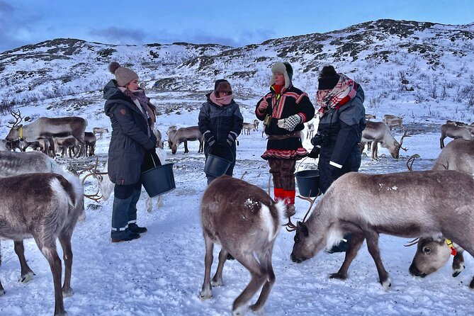 Arctic Fjords and Reindeer Experience – Small group tour - Who will enjoy this Arctic day trip?