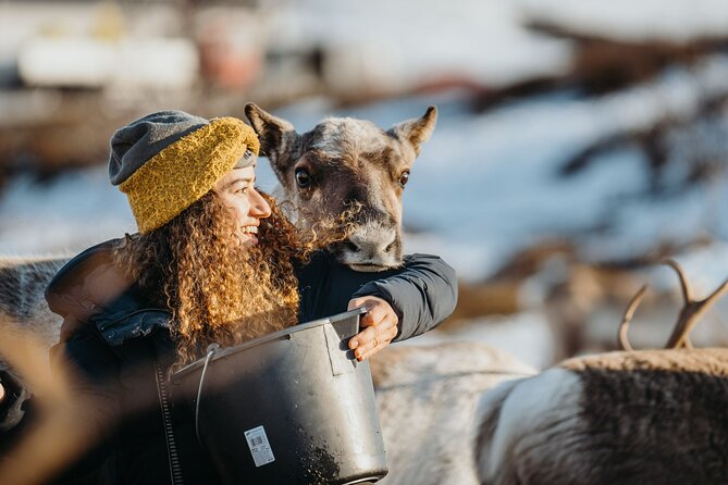 Arctic Fjords and Reindeer Experience – Small group tour - Inside the Sami lavvo by the fire