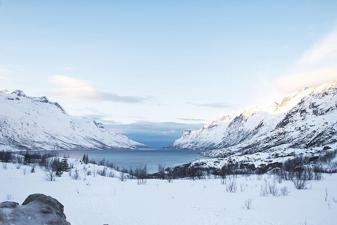 Arctic Fjords Road Trip - Kvaløya’s fjords and mountain roads