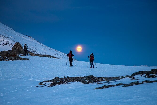 Arctic Landscapes Hiking, Sightseeing & Snowshoeing Private Tour - Why this Tromsø outing feels different