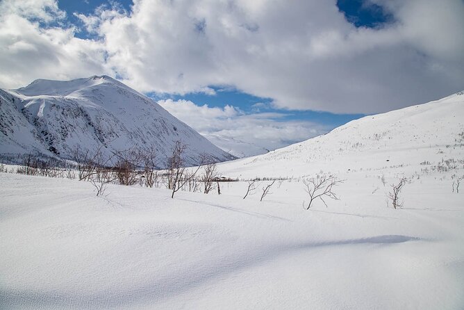 Arctic Landscapes Hiking, Sightseeing & Snowshoeing Private Tour - The scenery around Tromsø’s fjords