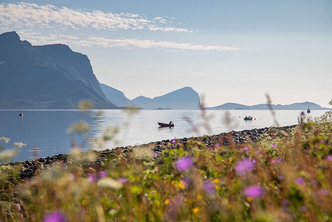 Arctic Landscapes Hiking, Sightseeing & Snowshoeing Private Tour - A warm outdoor lunch makes a real difference