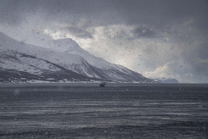 Arctic Landscapes Hiking, Sightseeing & Snowshoeing Private Tour - What the private format is worth