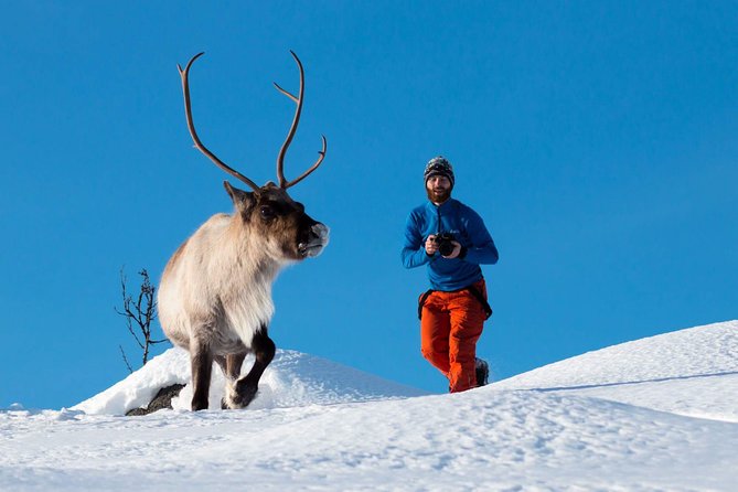 Arctic Nature Photography Sightseeing Tour from Tromso - Key points to know before you book