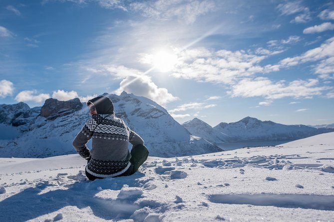 Arctic Nature Photography Sightseeing Tour from Tromso - From the Magic Ice Bar to the open road