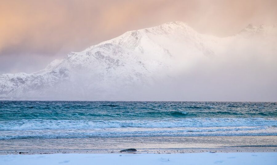 Arctic Nature Tour from Tromsø - Who will enjoy this Arctic nature tour most