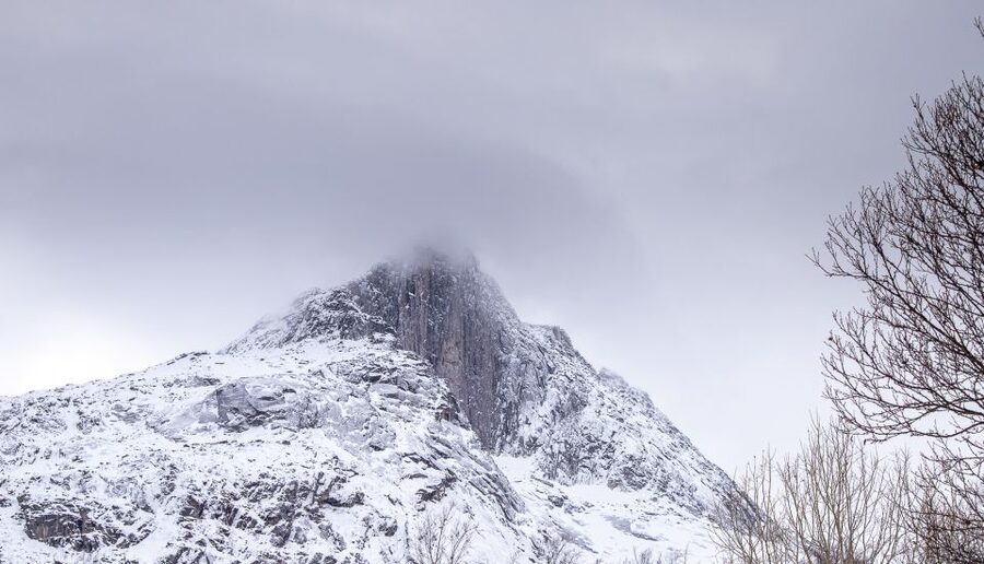 Arctic Nature Tour from Tromsø - Weather changes the character of the tour
