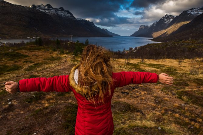 Arctic Nature Tour from Tromsø by minibus - Photo stops with a built-in photographer