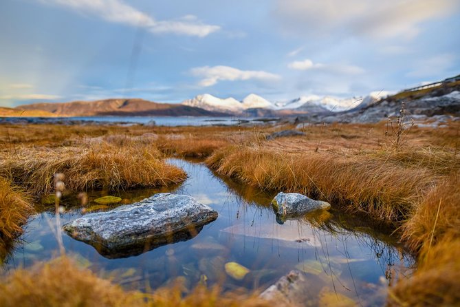 Arctic Nature Tour from Tromsø by minibus - Warm clothing and time outside
