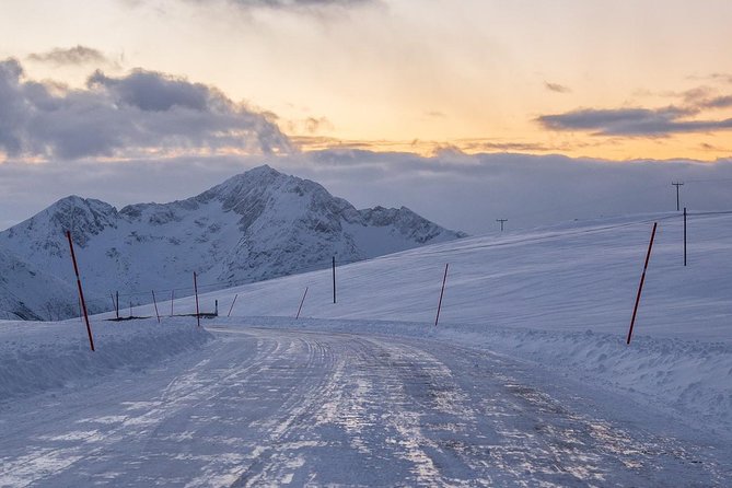 Arctic Nature Tour from Tromsø by minibus - How much value do you get for $156.55?