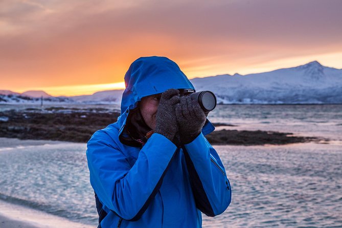 Arctic Nature Tour from Tromsø by minibus - Fjords, mountains, and Arctic beaches