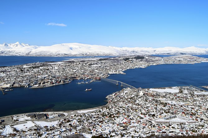 Arctic Panorama cable car excursion - Key points to know before booking