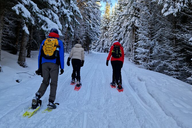 Arctic Snowshoe Hike in Norway - Meeting at Clarion Hotel The Edge
