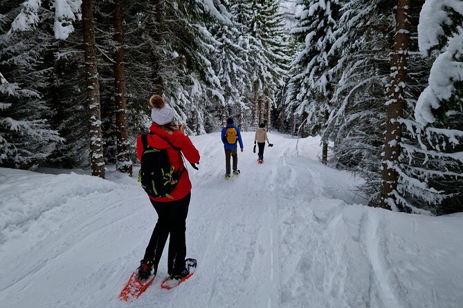 Arctic Snowshoe Hike in Norway - How the four hours feel