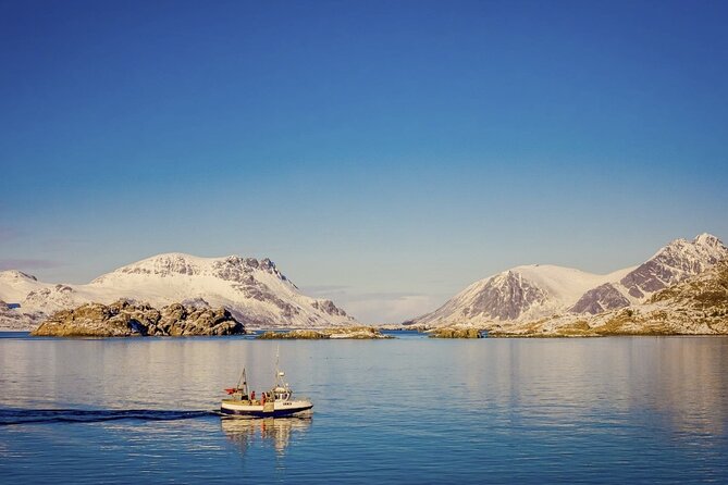 Arctic Wildlife and Fjord Sightseeing - Kaldfjorden and the Store Blåmann view