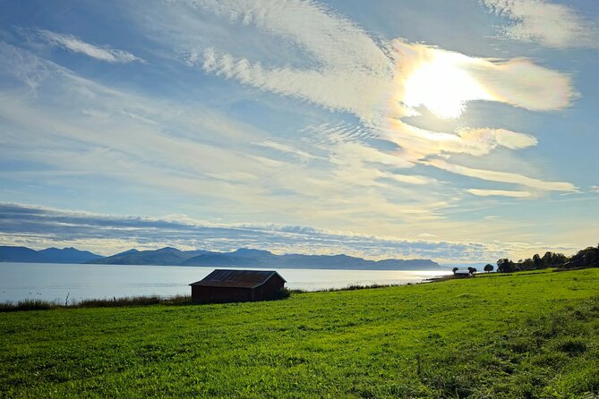 Arctic Wildlife and Fjord Sightseeing - Sandneshamn and the road toward Sommarøy