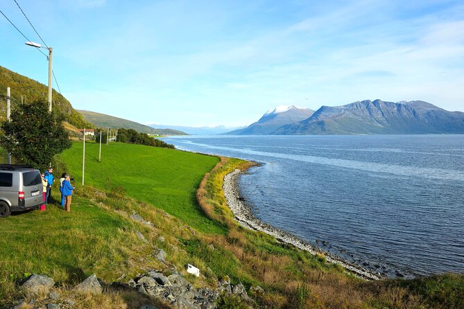 Arctic Wildlife and Fjord Sightseeing - Brensholmen and the outer coast