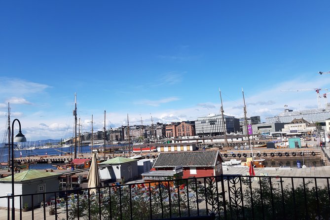 Art and Museum Tour of Oslo - What the guide adds to the day
