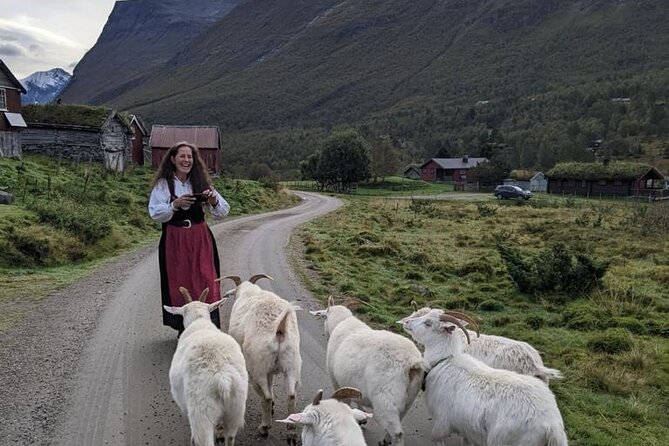 Audio-Guide Bus Tour at Scenic Routes of Åndalsnes to Trollstigen - The audio guide changes how you use the drive