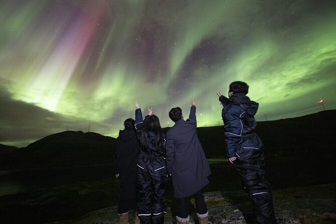 Aurora Chase from Tromso with Photos - Key points before you book