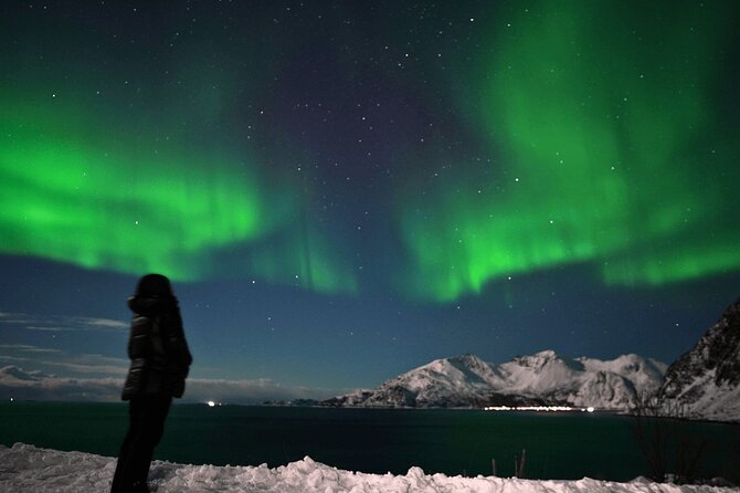 AURORA DAİLY Northern Lights Safari Tour 8 Guests with PİCKUP - Chasing clear skies from Tromsø