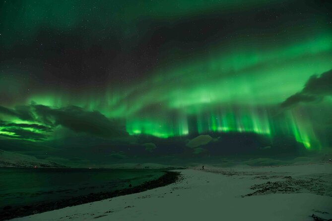 Aurora Hunt with Professional Photographer from Alta - A small group with personal attention