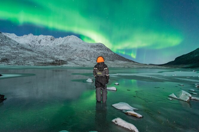 Aurora Hunt with the campfire and professional photographer - Why This Aurora Hunt Is More Than a Quick Photo Stop