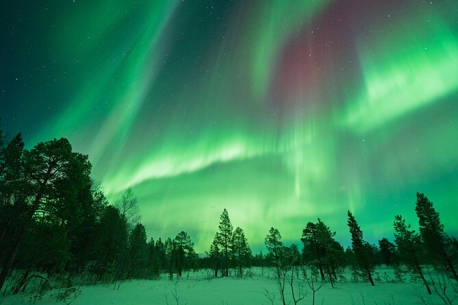 Aurora Hunt with the campfire and professional photographer - Stop Three: Staying Put When the Aurora Appears