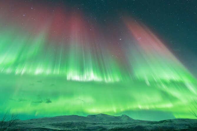 Aurora Hunt with the campfire and professional photographer - The Photo Service: A Valuable Part of the Price