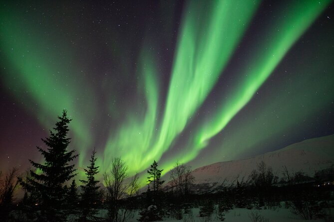 Aurora Safari Chase by big bus, free Photos, toilet onboard - Leaving Tromsø at 6:15 pm