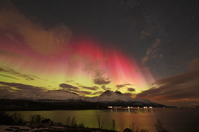 Aurora tour with free portrait and bonfire - Tromsø city center is the starting gate