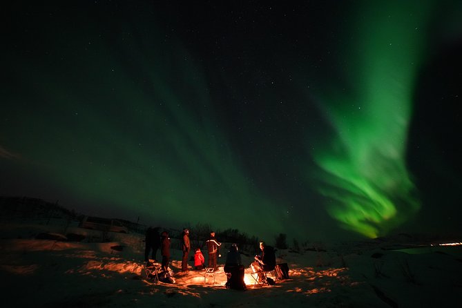 Aurora tour with free portrait and bonfire - Bonfire, cinnamon cake, and marshmallows