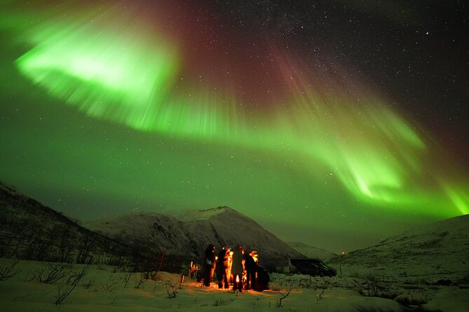 Aurora tour with free portrait and bonfire - What happens when the aurora is faint