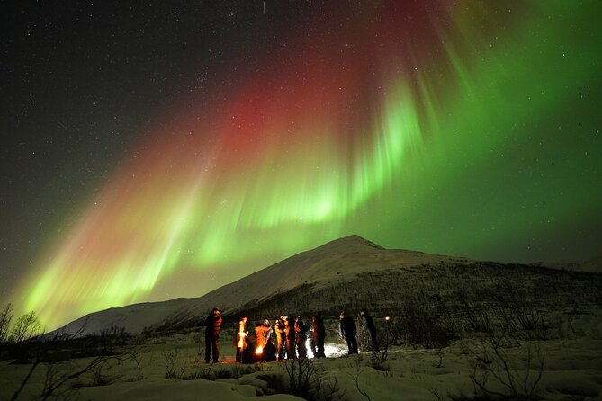 Aurora tour with free portrait and bonfire - The 300-kilometer search for clear skies